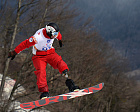 Фотогалерея XI Паралимпийских зимних игр в г. Сочи